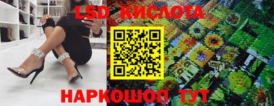 apvp Можга