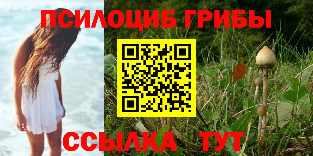 Псилоцибиновые грибы мухоморы Чебаркуль