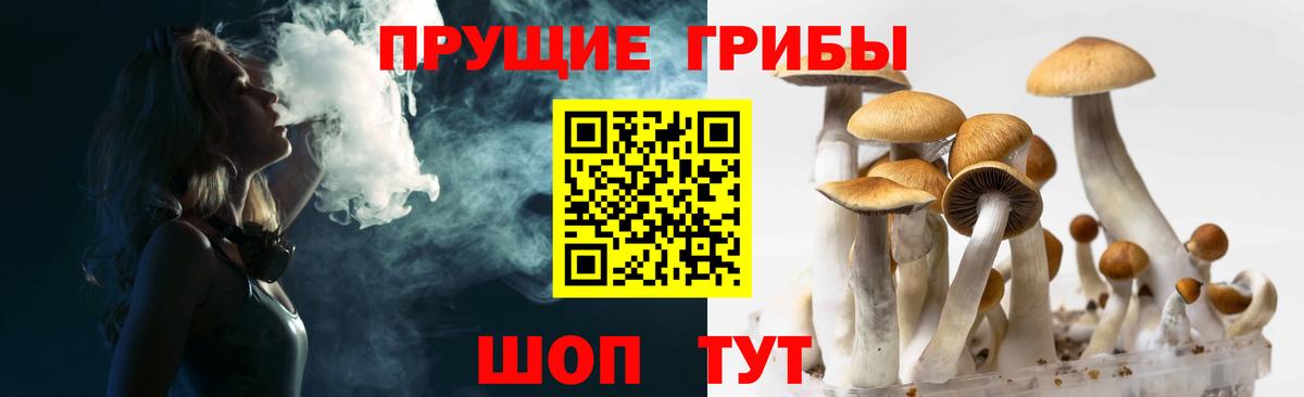Чебаркуль  Галлюциногенные грибы Cubensis  Вход с VPN 